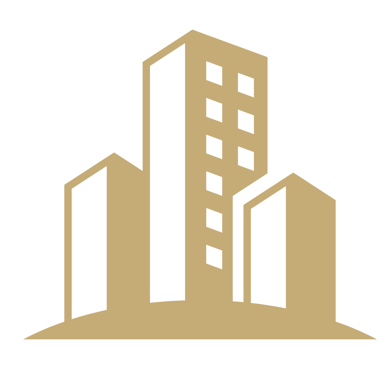 Developer Icon